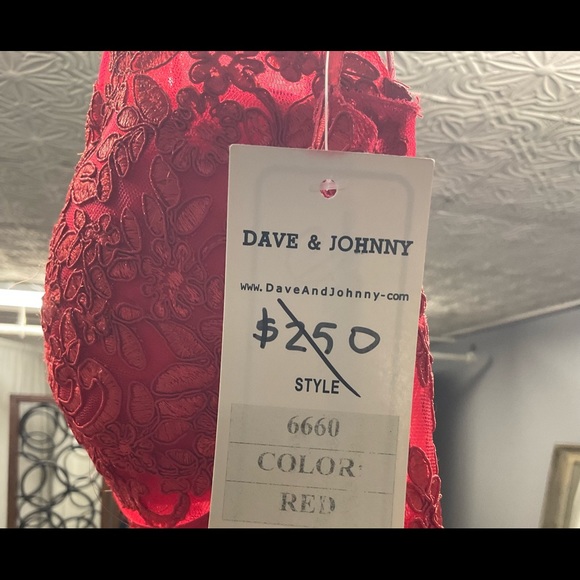 Dave & Johnny Homecoming/Prom/Bridesmaid/Formal Dress - Picture 3 of 3